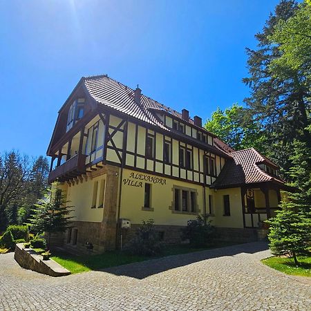Villa Alexandra Поляниця-Здруй Екстер'єр фото