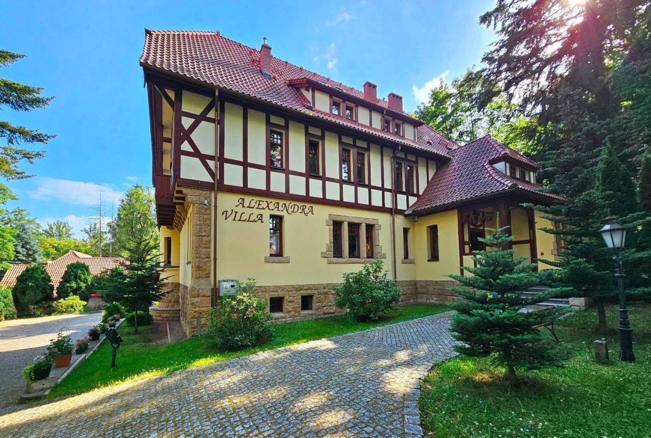 Villa Alexandra Поляниця-Здруй Екстер'єр фото