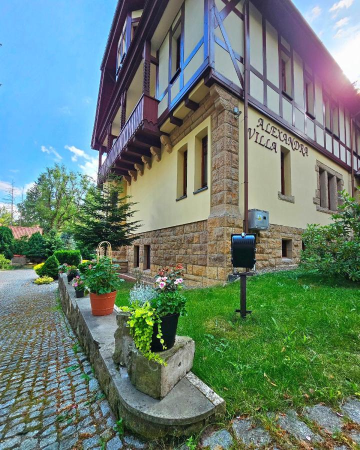Villa Alexandra Поляниця-Здруй Екстер'єр фото