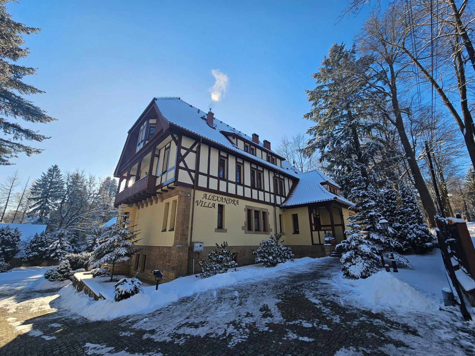 Villa Alexandra Поляниця-Здруй Екстер'єр фото