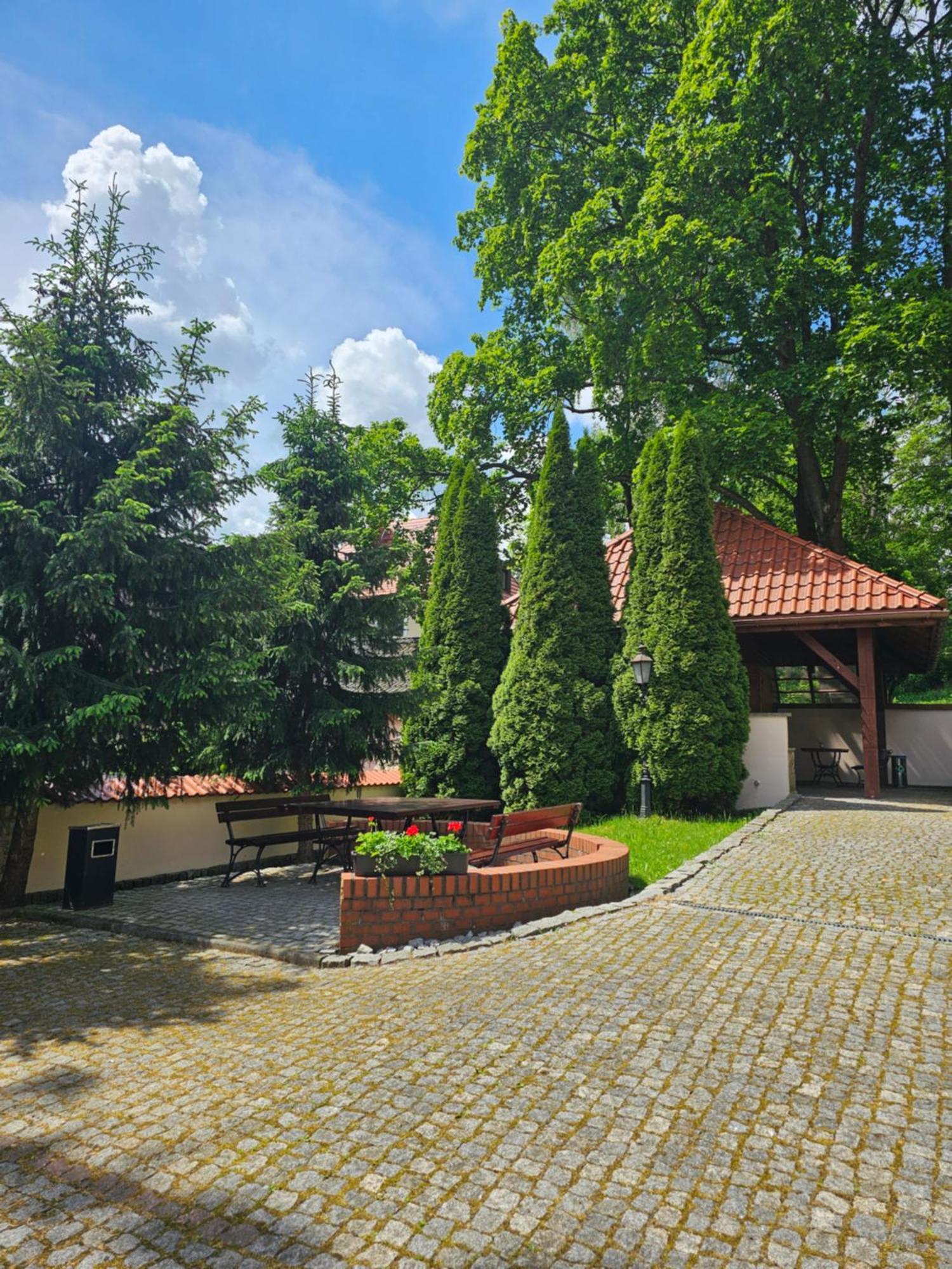 Villa Alexandra Поляниця-Здруй Екстер'єр фото