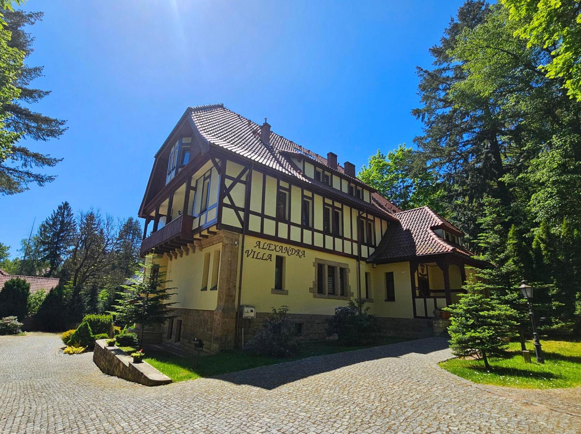 Villa Alexandra Поляниця-Здруй Екстер'єр фото